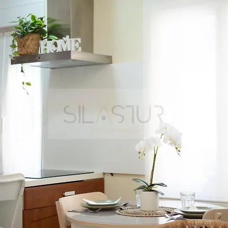 公寓 Xenra By Silastur 希洪