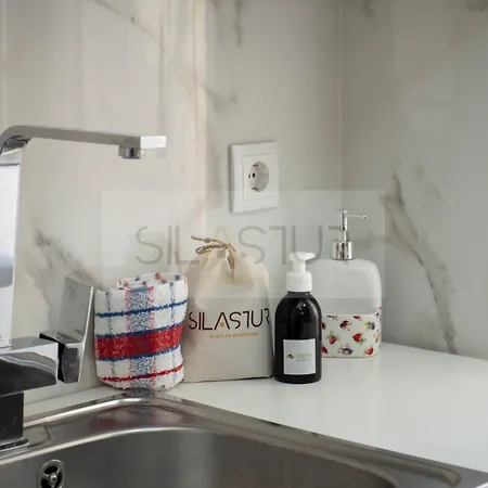 Daire Xenra By Silastur Gijón